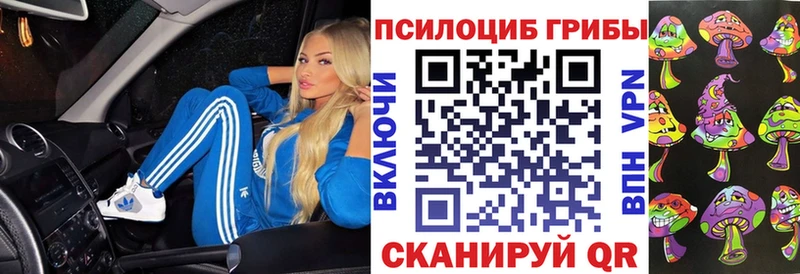 Галлюциногенные грибы GOLDEN TEACHER  Купить закладки  Адыгейск 